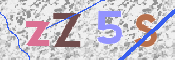 Image Anti-spam