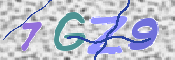 Image Anti-spam