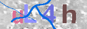 Image Anti-spam